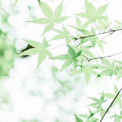 果盘战舰风云手游变态版下载
